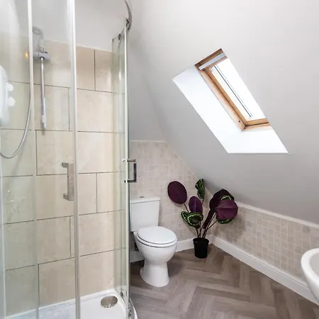 October Disc - Long - Contractors Apartamento Bristol